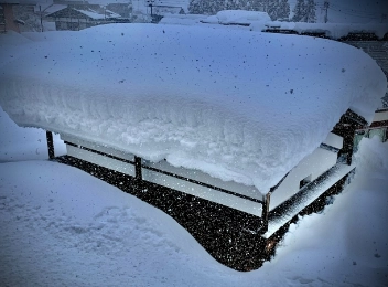 雪による被害