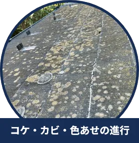 コケ・カビ・色あせの進行