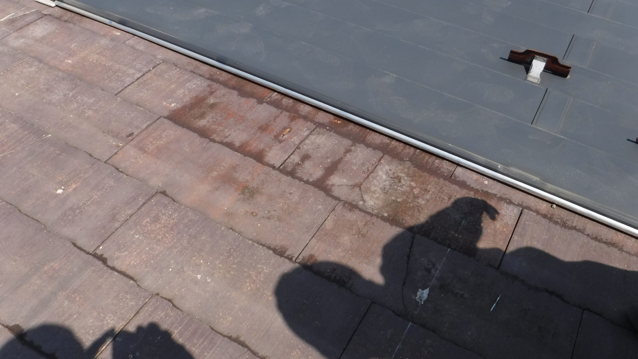 横浜市中央区にてカバー工法・雨漏り修理〈一階天井からの雨漏り〉の施工前写真